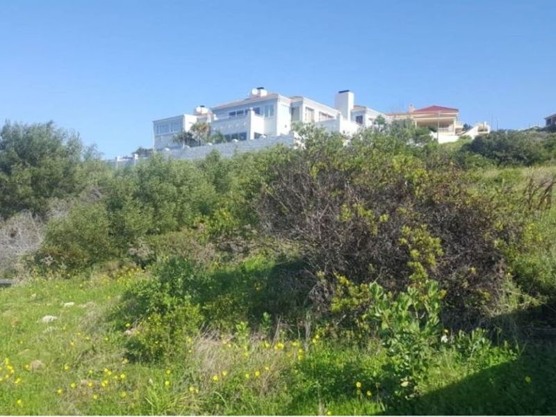 A view of the sloped residential land featuring natural vegetation with neighboring properties visible in the background.