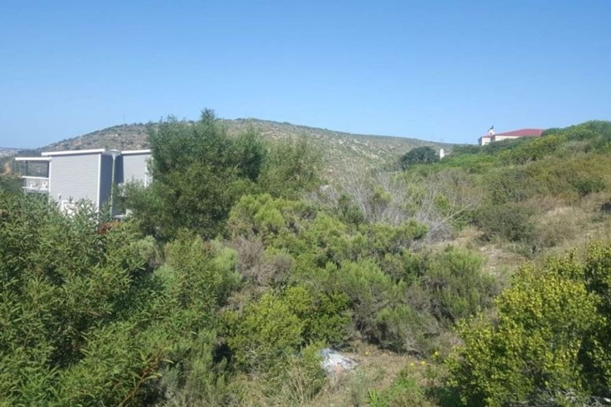A view of the sloped, undeveloped residential land featuring native vegetation and surrounding hillside landscape.