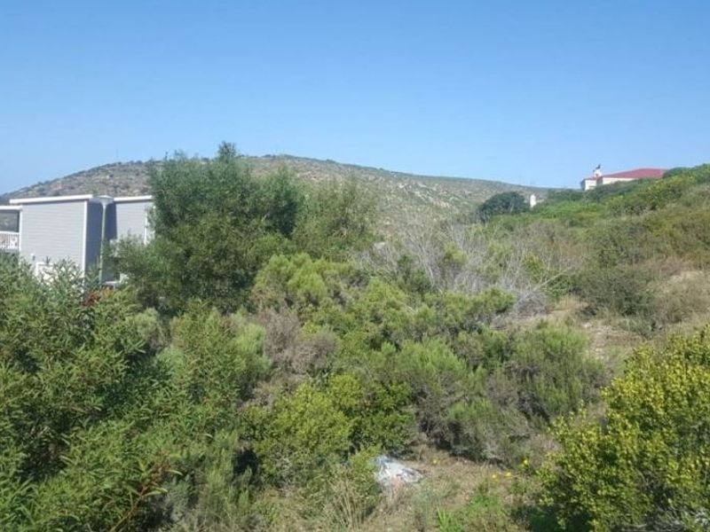 A view of the sloped, undeveloped residential land featuring native vegetation and surrounding hillside landscape.