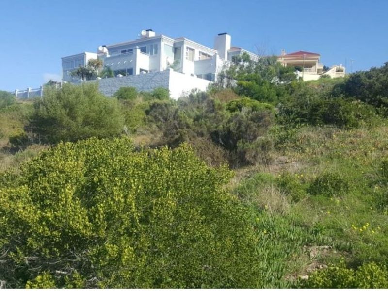 A view of the sloped residential land with a retaining wall and established vegetation, looking up towards the neighboring property.
