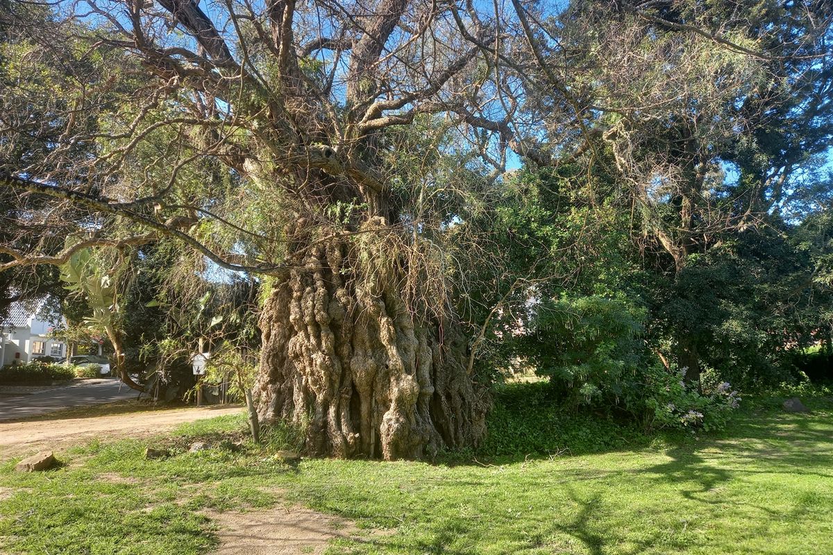 Commercial property for sale - Photo 4