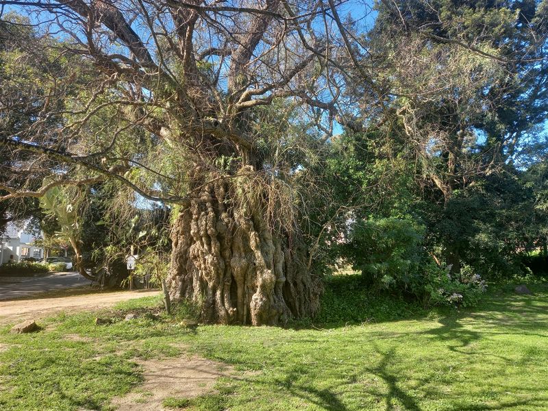 Commercial property for sale - Photo 4