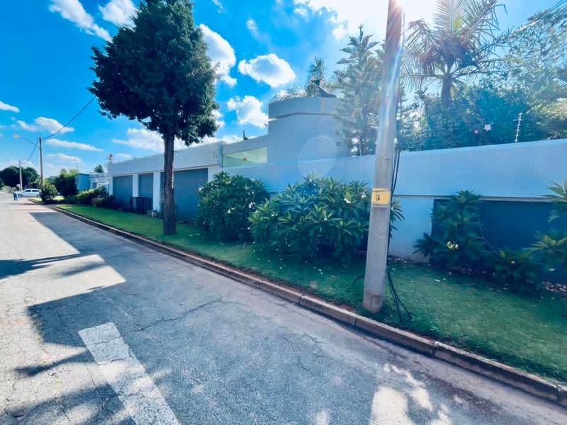Street view of the property showing the perimeter wall, electric fencing, and landscaped verge along the paved road.