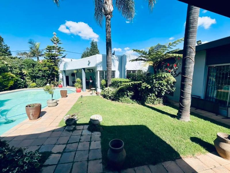 A sunny outdoor pool area featuring a swimming pool, paved patio, and established garden with mature palm trees.
