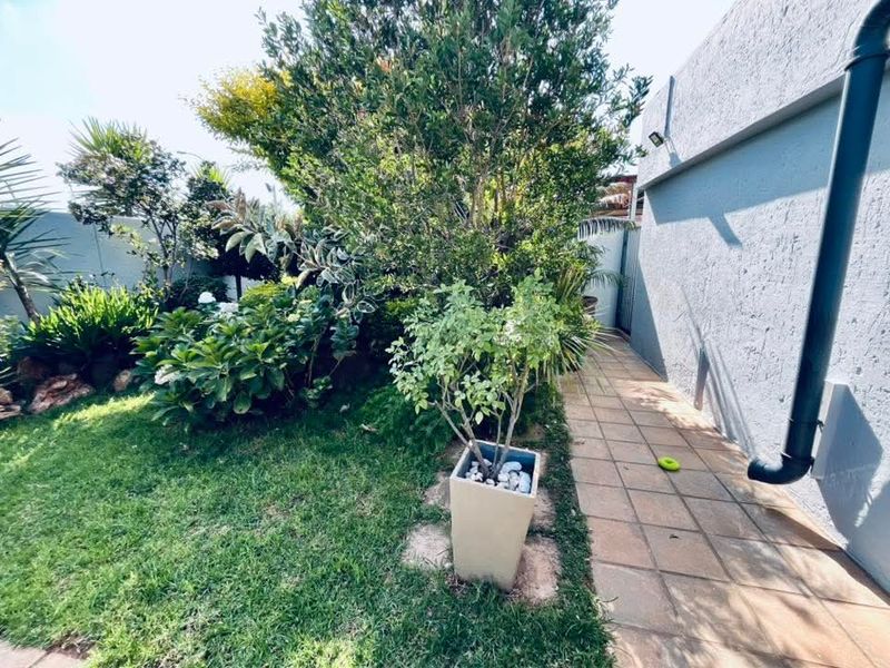 A well-maintained side garden featuring a paved walkway, lush greenery, and textured exterior wall with integrated drainage.