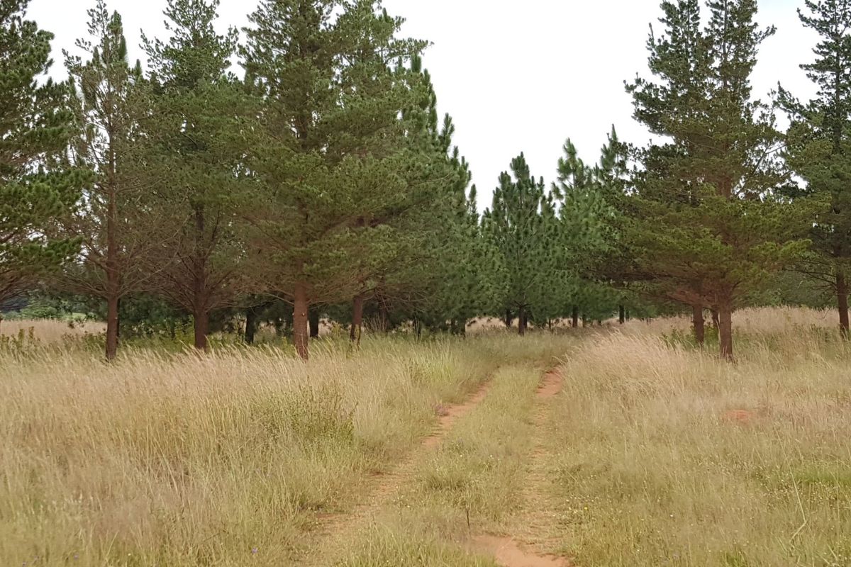 Riverfront Stand!! - Photo 3