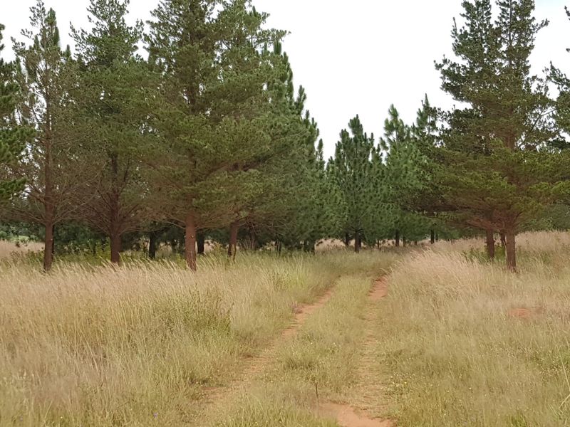 Riverfront Stand!! - Photo 3