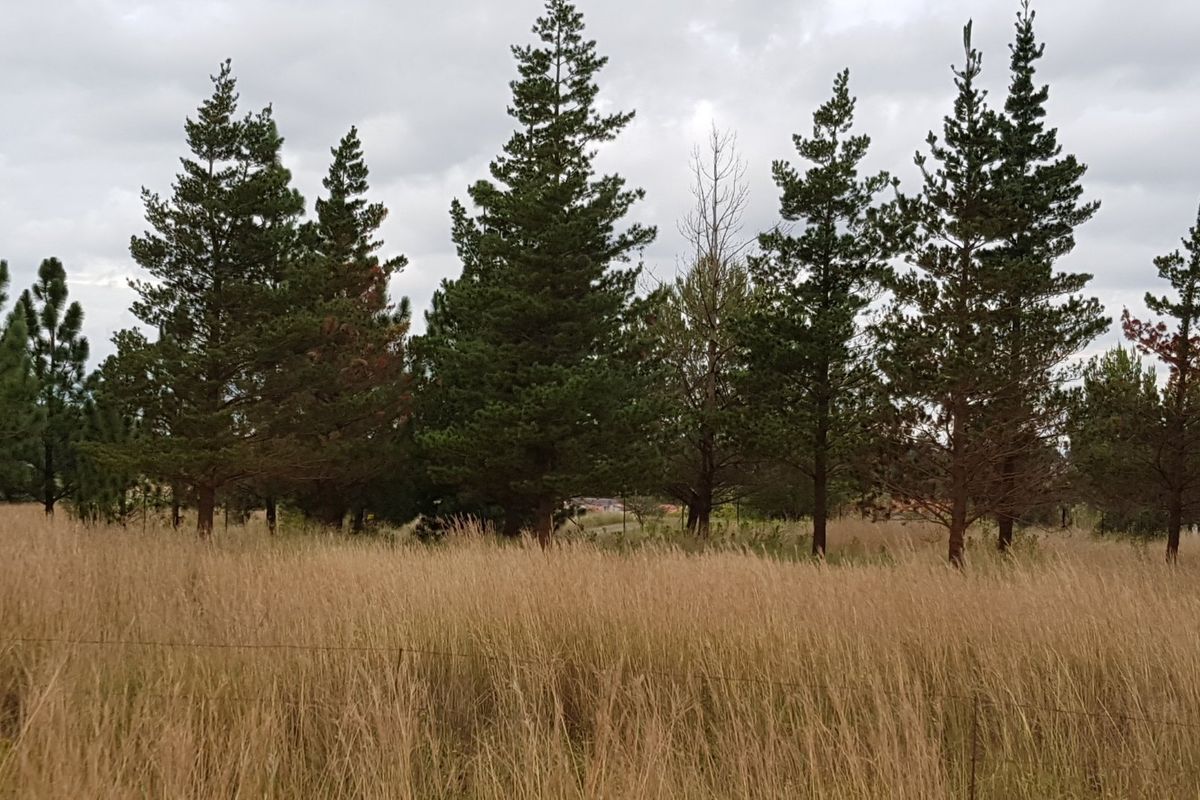 Riverfront Stand!! - Photo 2