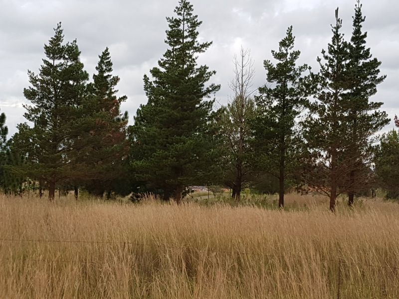 Riverfront Stand!! - Photo 2