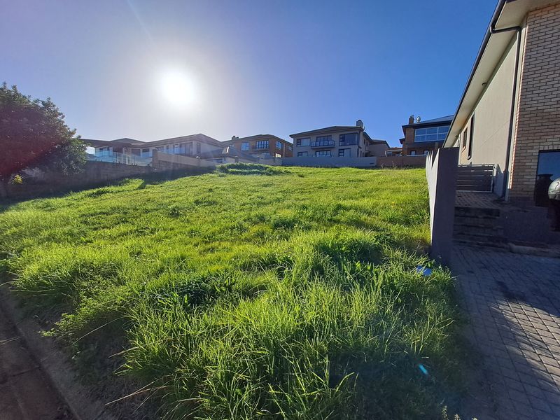 A vacant residential plot featuring a gentle slope, established boundary walls, and adjacent paved driveway access in a developed neighborhood.