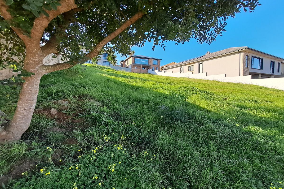 A view of a sloped, grass-covered vacant residential plot with a mature tree and neighboring properties visible in the background.