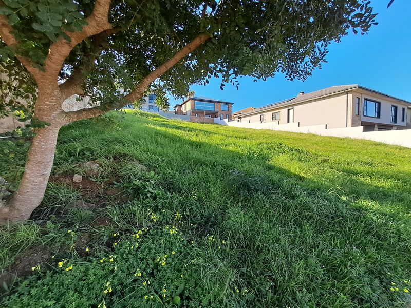 A view of a sloped, grass-covered vacant residential plot with a mature tree and neighboring properties visible in the background.