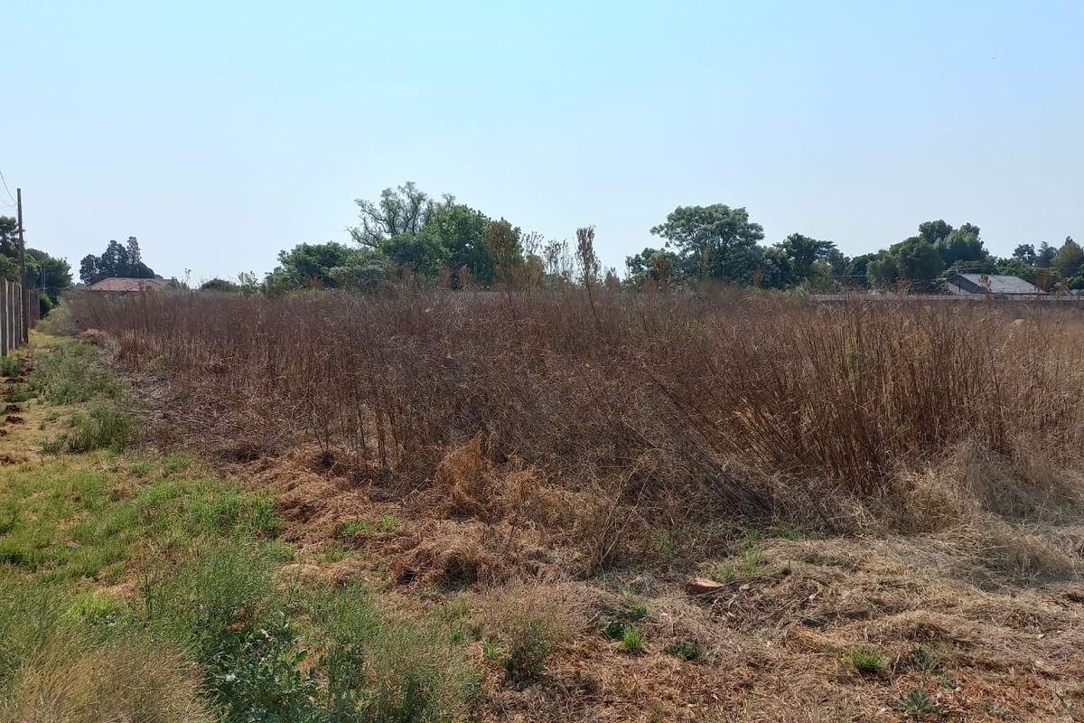 Discover 4000m2 of prime vacant land for sale in Henley On Klip, Meyerton—your dream property await - Photo 5