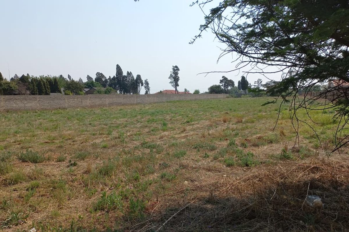 4000SQM vacant stand available on one of the good streets of Henley - Photo 4