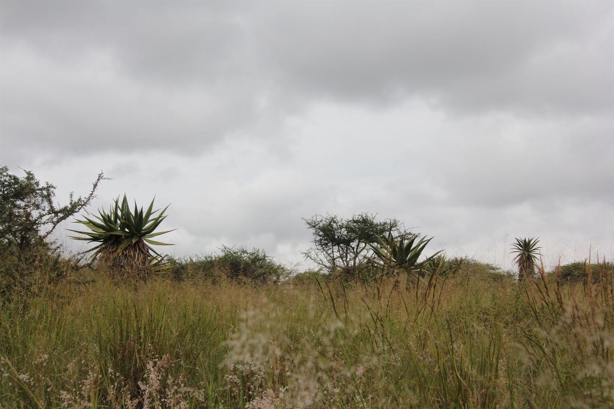23-hectare vacant land is the last of its kind in a sought-after location - Photo 2
