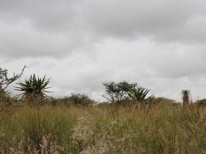23-hectare vacant land is the last of its kind in a sought-after location - Photo 2