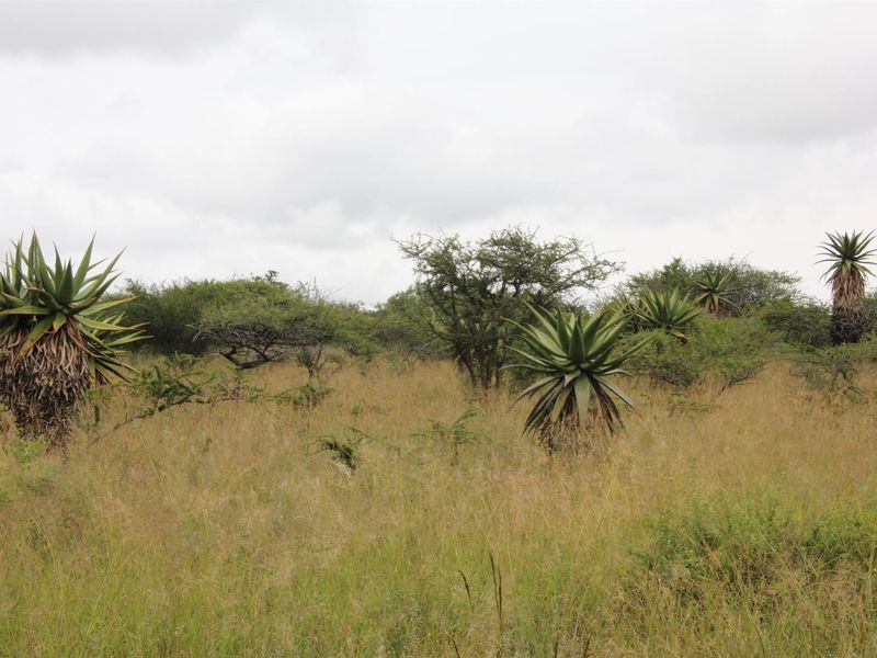 23-hectare vacant land is the last of its kind in a sought-after location - Photo 1