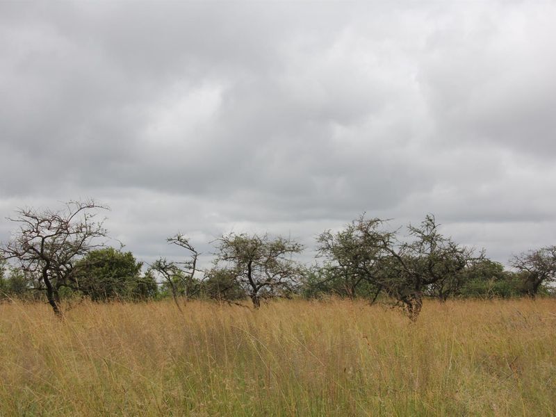 23-hectare vacant land is the last of its kind in a sought-after location - Photo 10