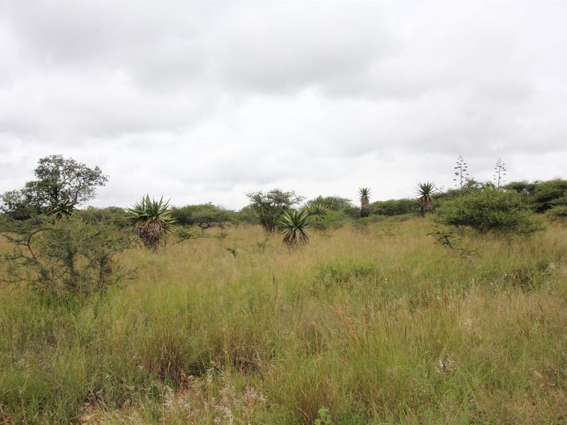 23-hectare vacant land is the last of its kind in a sought-after location - Photo 9