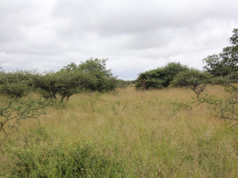 23-hectare vacant land is the last of its kind in a sought-after location - Photo 8