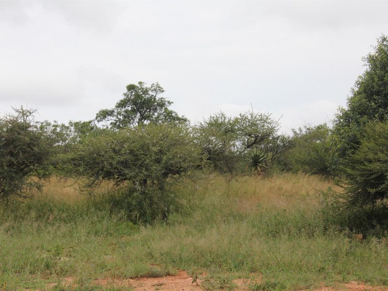 23-hectare vacant land is the last of its kind in a sought-after location - Photo 7
