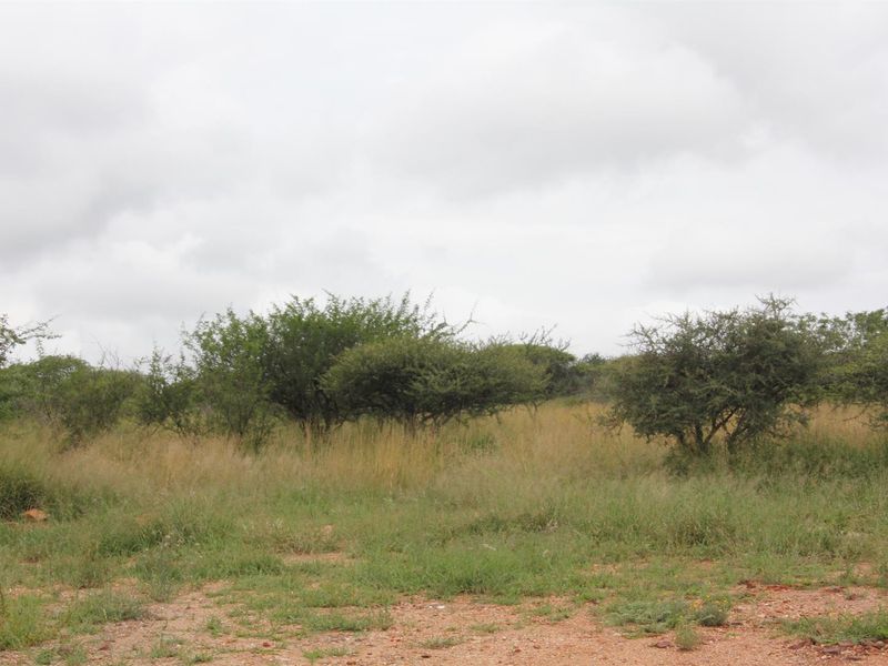23-hectare vacant land is the last of its kind in a sought-after location - Photo 6
