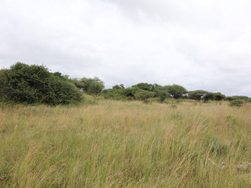 23-hectare vacant land is the last of its kind in a sought-after location - Photo 3
