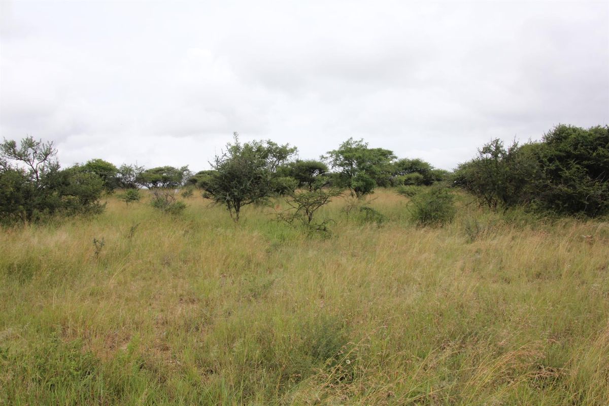 23-hectare vacant land is the last of its kind in a sought-after location - Photo 4