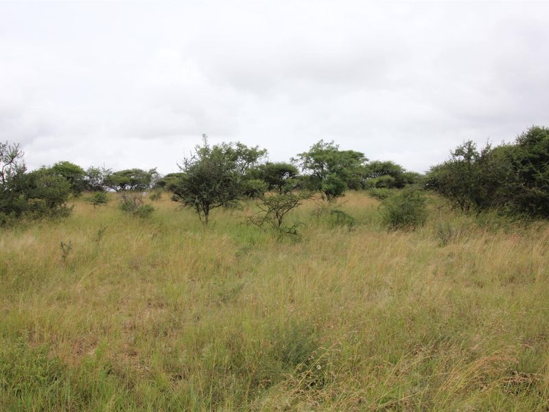 23-hectare vacant land is the last of its kind in a sought-after location - Photo 4