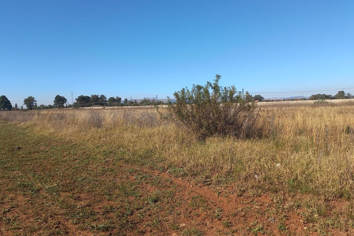 Don't Miss Out: Prime Piece of Land with Excellent Potential! - Photo 4