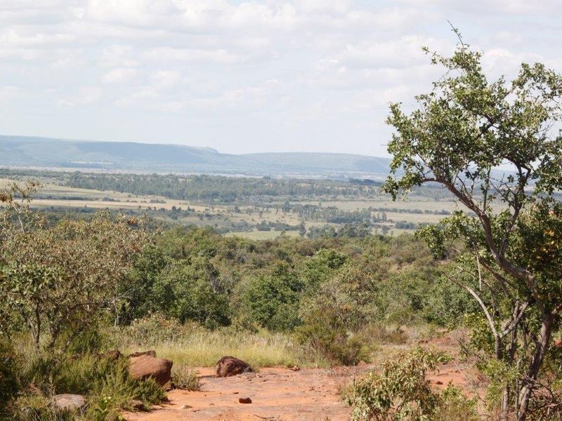 Vacant Land Residential For Sale In Bela Bela - Photo 6