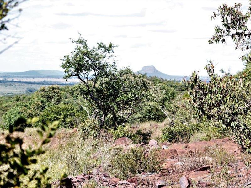 Vacant Land Residential For Sale In Bela Bela - Photo 7