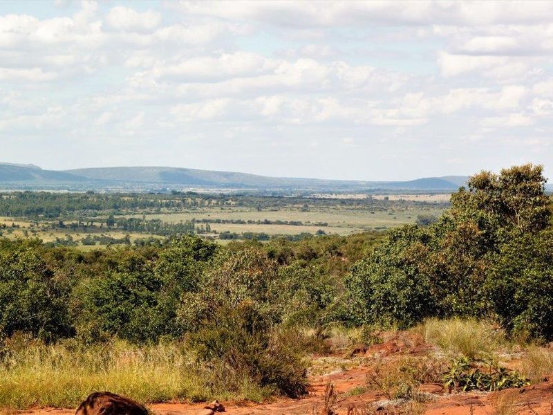 Vacant Land Residential For Sale In Bela Bela - Photo 4