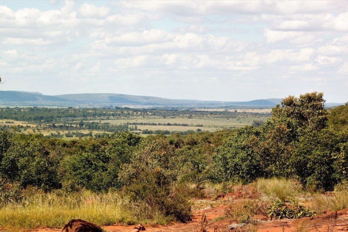 Vacant Land Residential For Sale In Bela Bela - Photo 4