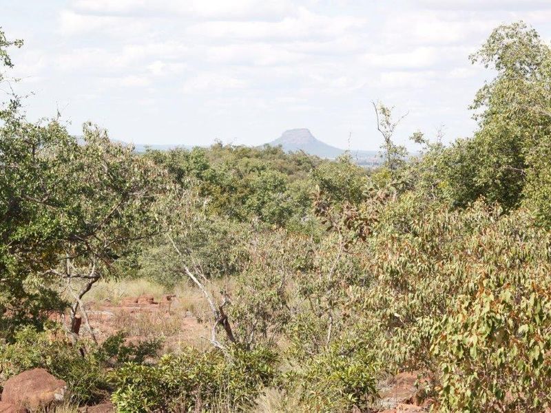 Vacant Land Residential For Sale In Bela Bela - Photo 5