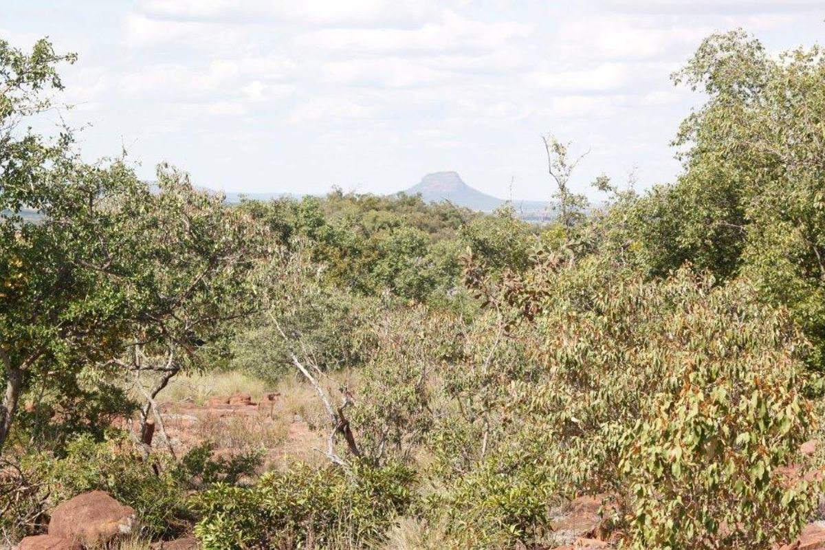 Vacant Land Residential For Sale In Bela Bela - Photo 5