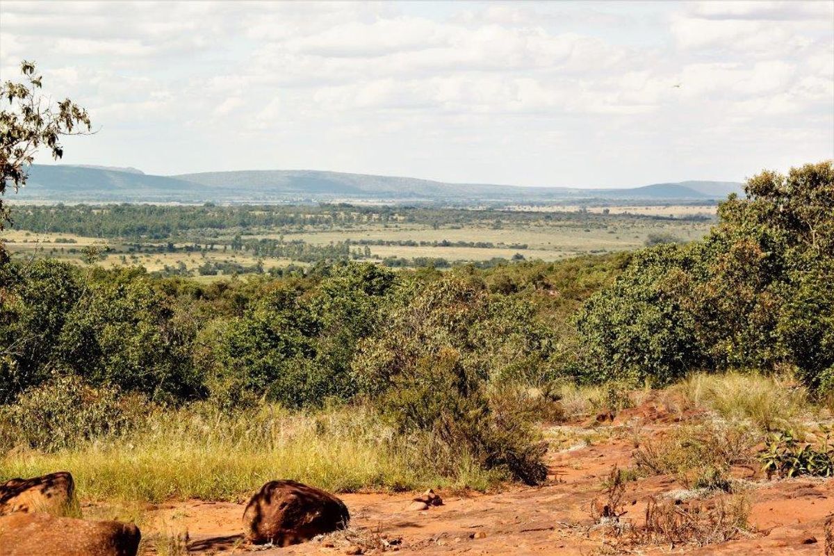 Vacant Land Residential For Sale In Bela Bela - Photo 3