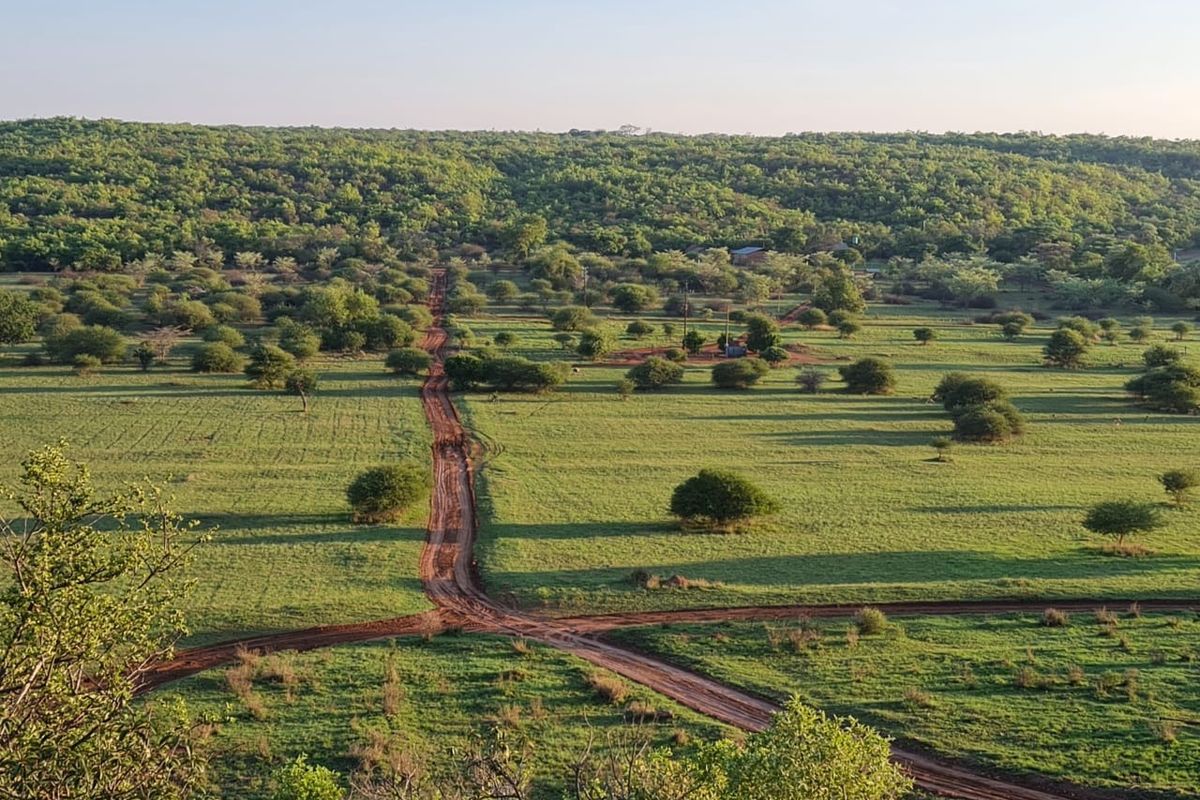 An elevated aerial view of a large, open residential land plot featuring natural vegetation, scattered trees, and dirt access tracks.