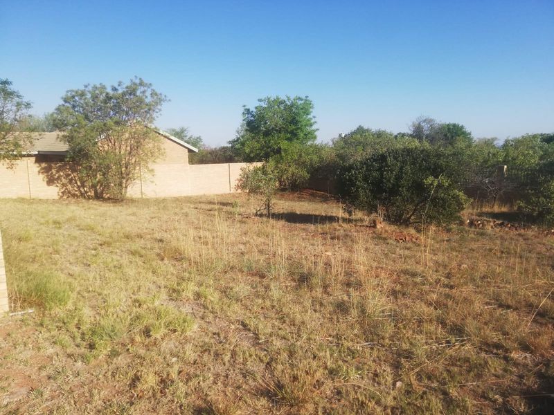 A view of a residential vacant plot featuring established trees and a perimeter boundary wall.