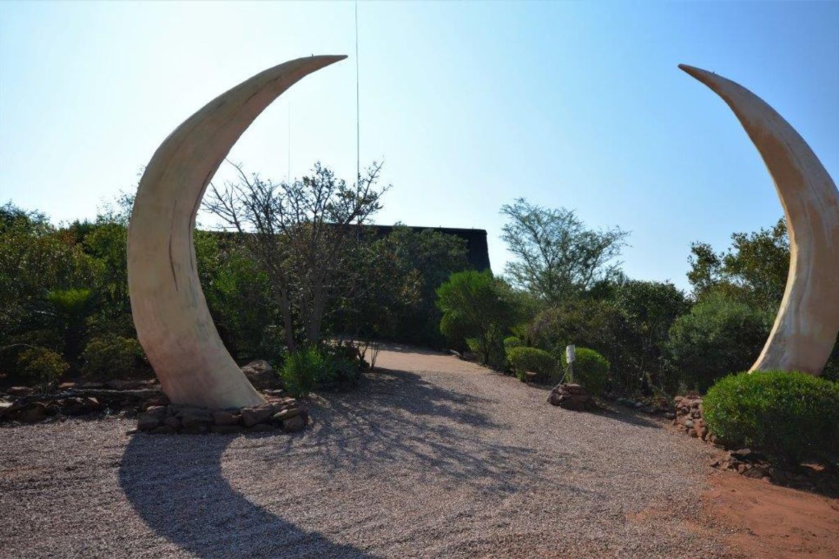 House For Sale In Bela Bela - Photo 4