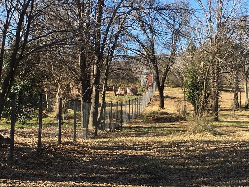 Prime Vacant Land for sale - Photo 3