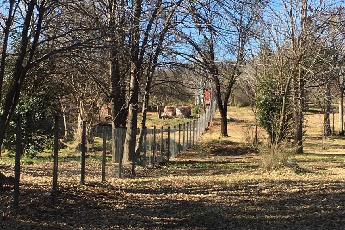 Prime Vacant Land for sale - Photo 3