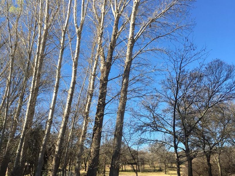 Prime Vacant Land for sale - Photo 5