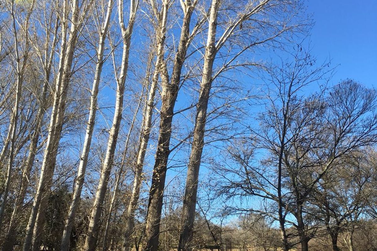 Prime Vacant Land for sale - Photo 5