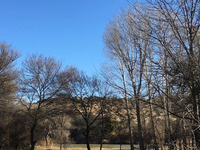 Prime Vacant Land for sale - Photo 7