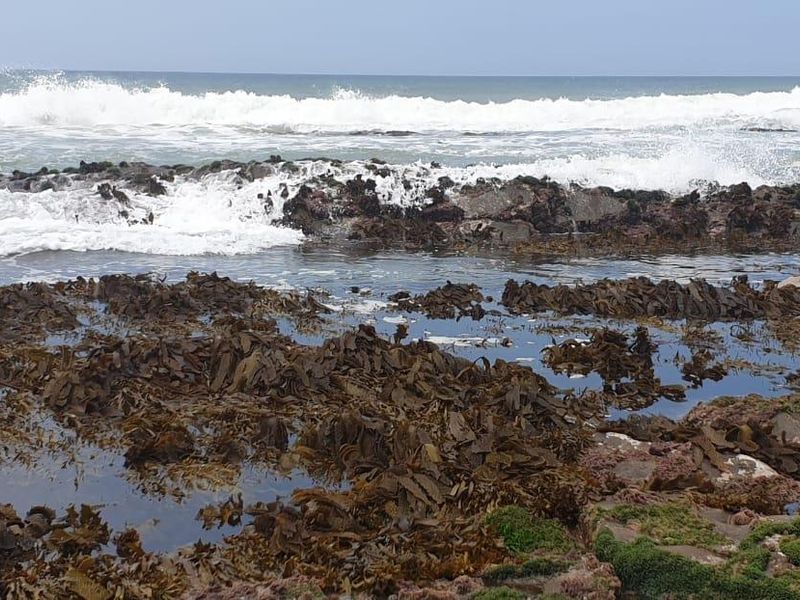 Vacant Land Residential For Sale In East London - Photo 4