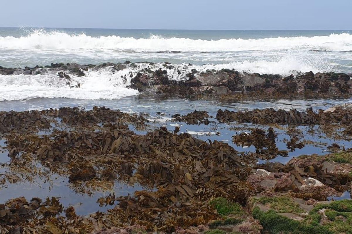 Vacant Land Residential For Sale In East London - Photo 4