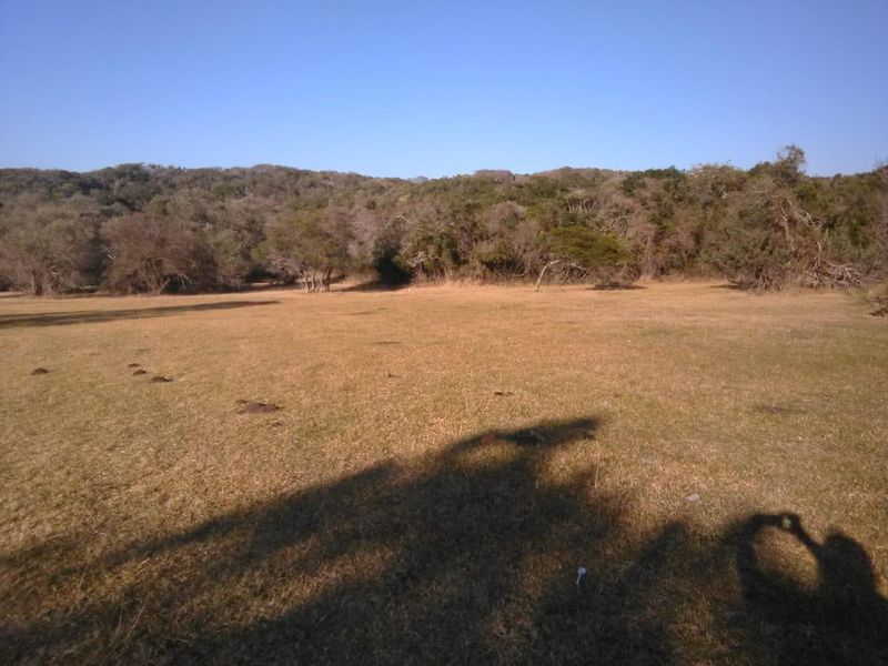 Vacant Plot in secure estate in Cove Rock! - Photo 3