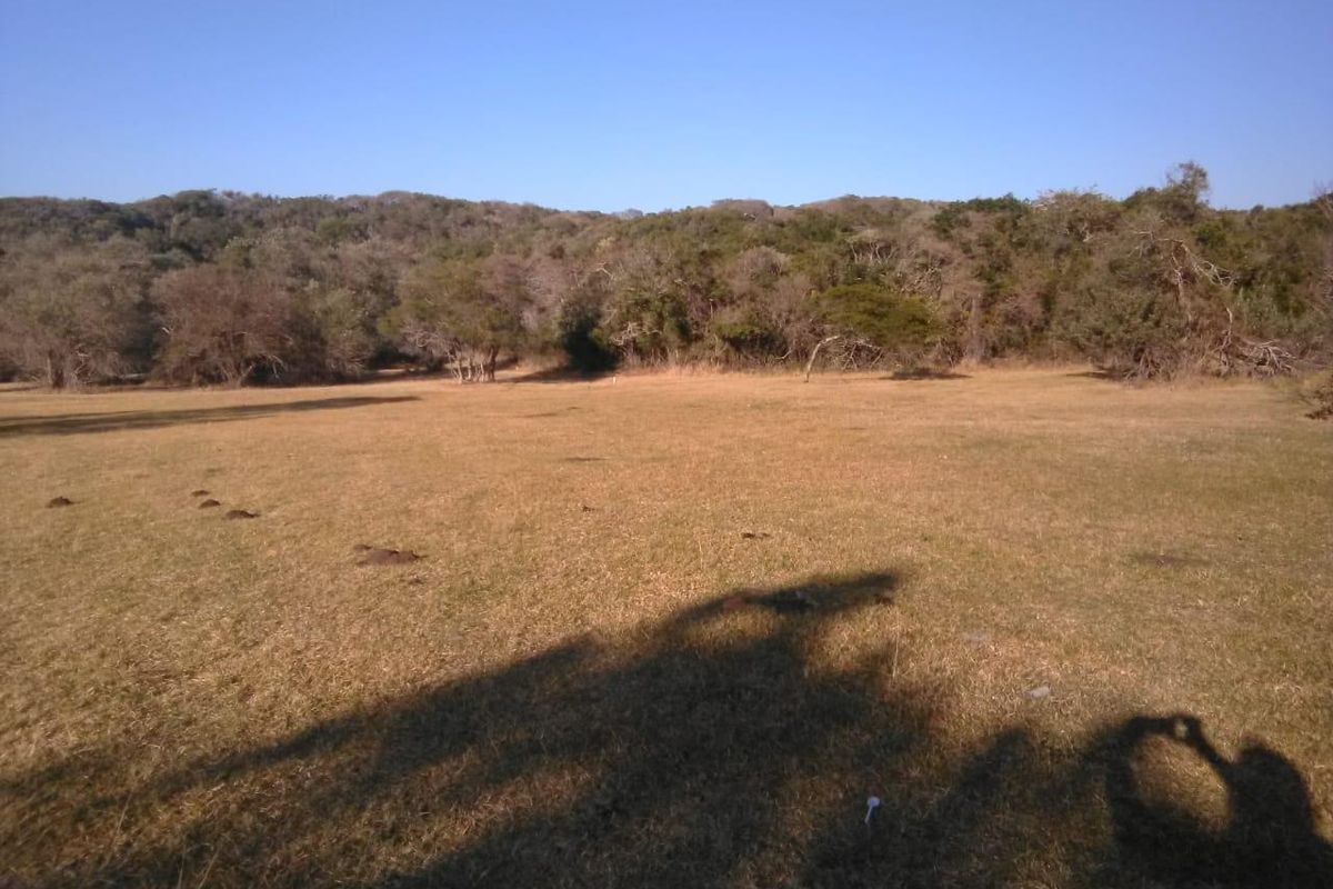 Vacant Plot in secure estate in Cove Rock! - Photo 3