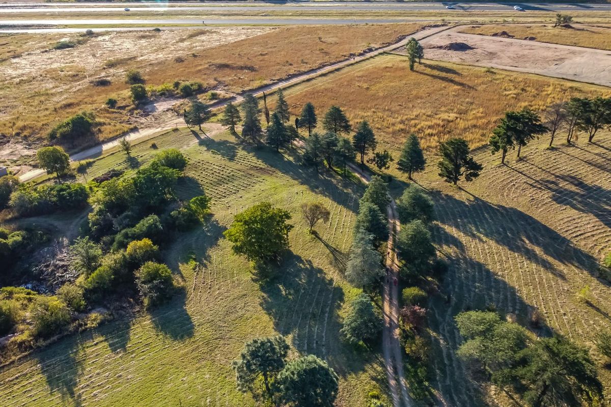 An aerial view of the farm property featuring open grassland, established trees, and a dirt access road.